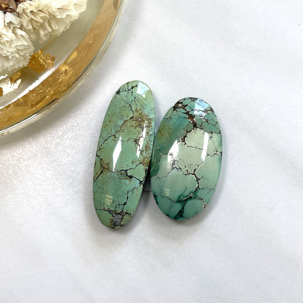 Large Sea Green Oval Wild Horse Turquoise, Set of 2 Background