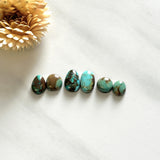 Small Mixed Mixed Tyrone Turquoise, Set of 6 Background