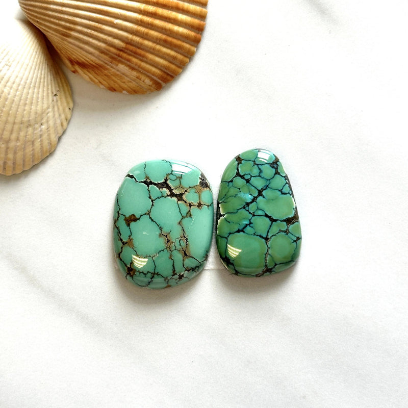 Large Mint Green Freeform Bamboo Mountain Turquoise, Set of 2 Background