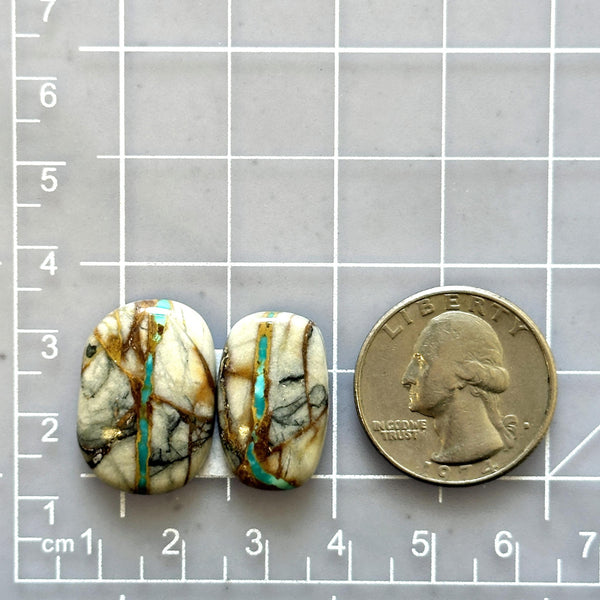 Medium Pale Brown Freeform Royston Turquoise, Set of 2 Dimensions