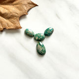 Small Deep Green Oval Fox Turquoise, Set of 4 Background