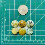 Medium Mixed Round Mixed Turquoise, Set of 6 Dimensions