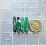 Medium Deep Green Surfboard Crescent Lake Variscite, Set of 4 Dimensions