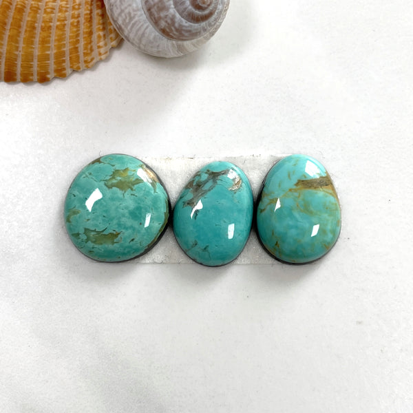 Small Mint Green Freeform Tyrone Turquoise, Set of 3 Background