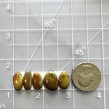 Medium Earth Brown Mixed Crescent Lake Variscite, Set of 5 Dimensions