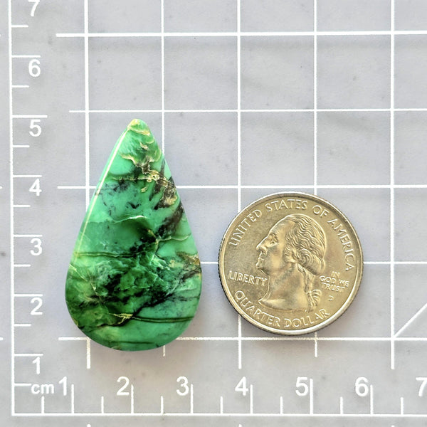 Large Sea Green Teardrop Crescent Lake Variscite Dimensions