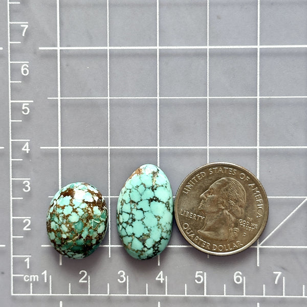 Large Sky Blue Mixed Namtso Lake Turquoise, Set of 2 Dimensions