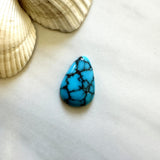 Large Sky Blue Teardrop Prince Egyptian Turquoise Background