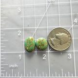 Small Sea Green Mixed Crescent Lake Variscite, Set of 2 Dimensions