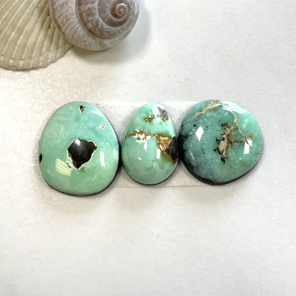 Medium Mint Green Freeform Carico Lake Turquoise, Set of 3 Background