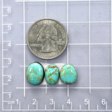 Small Sky Blue Freeform Tyrone Turquoise, Set of 3 Dimensions