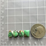 Small Sea Green Mixed Crescent Lake Variscite, Set of 4 Dimensions