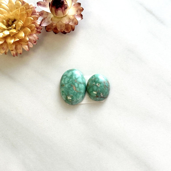 Small Mint Green Mixed Broken Arrow Variscite, Set of 2 Background