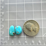 Small Sky Blue Freeform Ithaca Peak Turquoise, Set of 2 Dimensions