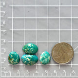 Small Sky Blue Mixed Fox Turquoise, Set of 4 Dimensions