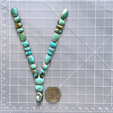 Small Sky Blue Mixed Royston Turquoise, Set of 25 Dimensions