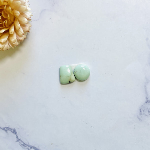 Small Faint Green Mixed Lone Mountain Turquoise, Set of 2 Background