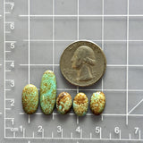 Small Faint Green Oval Number 8 Turquoise, Set of 5 Dimensions