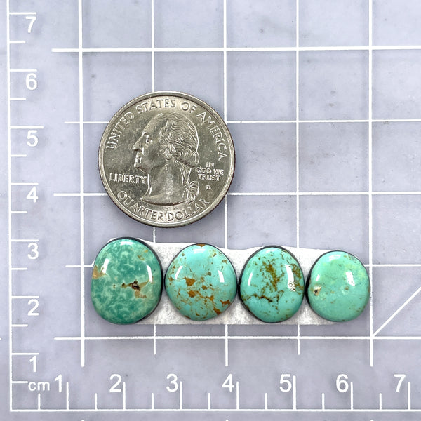 Small Mint Green Freeform Tyrone Turquoise, Set of 4 Dimensions