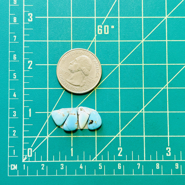 Small Mixed Freeform Lone Mountain Turquoise, Set of 4 Dimensions