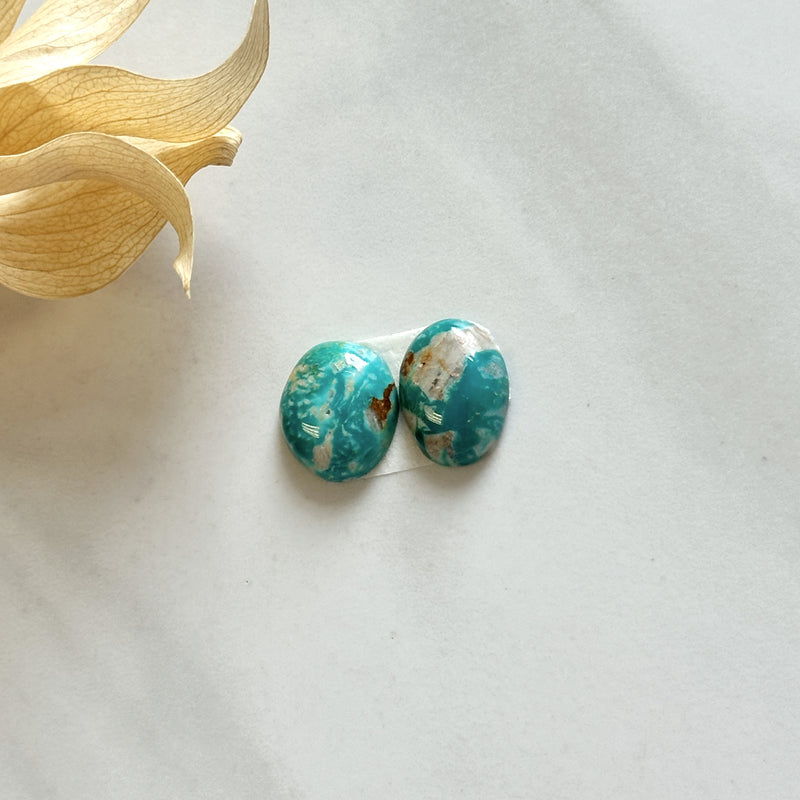 Small Mint Green Oval Fox Turquoise, Set of 2 Background