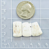 Medium White Mixed White Buffalo Dolomite, Set of 3 Dimensions