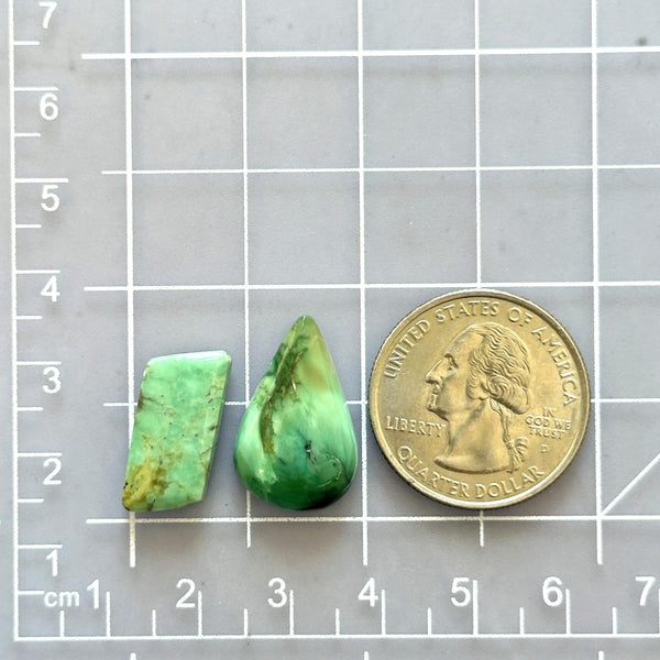 Medium Sea Green Mixed Crescent Lake Variscite, Set of 2 Dimensions