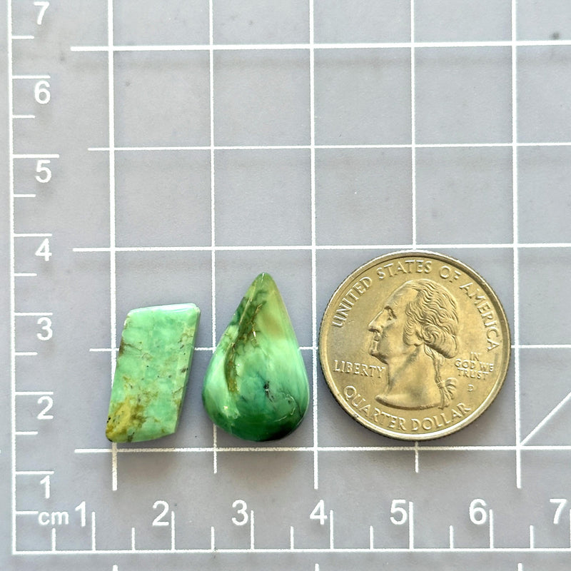 Medium Sea Green Mixed Crescent Lake Variscite, Set of 2 Dimensions