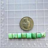 Small Mint Green Square Crescent Lake Variscite, Set of 8 Dimensions