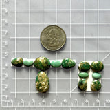 Small Mixed Mixed Broken Arrow Variscite, Set of 12 Dimensions