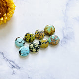 Small Mixed Round Mixed Turquoise, Set of 8 Background