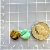 Small Mixed Round Crescent Lake Variscite, Set of 2 Dimensions