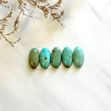 Small Mixed Oval Tyrone Turquoise, Set of 5 Background