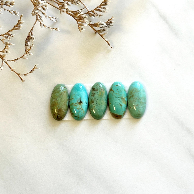 Small Mixed Oval Tyrone Turquoise, Set of 5 Background