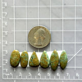 Small Earth Brown Mixed Treasure Mountain Turquoise, Set of 6 Dimensions