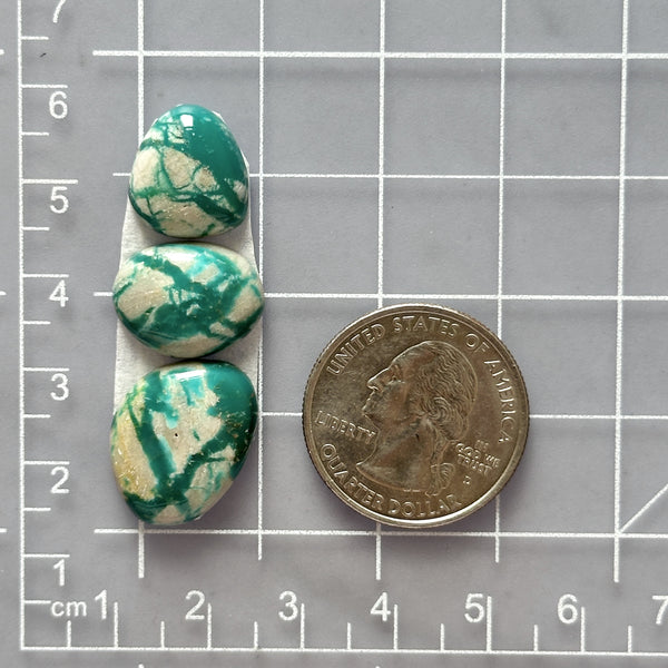 Small Mint Green Mixed Fox Turquoise, Set of 3 Dimensions