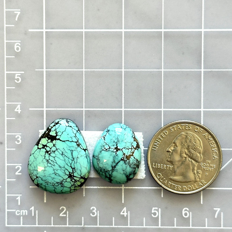 Large Sky Blue Freeform Number 8 Turquoise, Set of 2 Dimensions