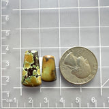 Large Earth Brown Freeform Treasure Mountain Turquoise, Set of 2 Dimensions