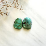 Large Bamboo Green Freeform Bamboo Mountain Turquoise, Set of 2 Background