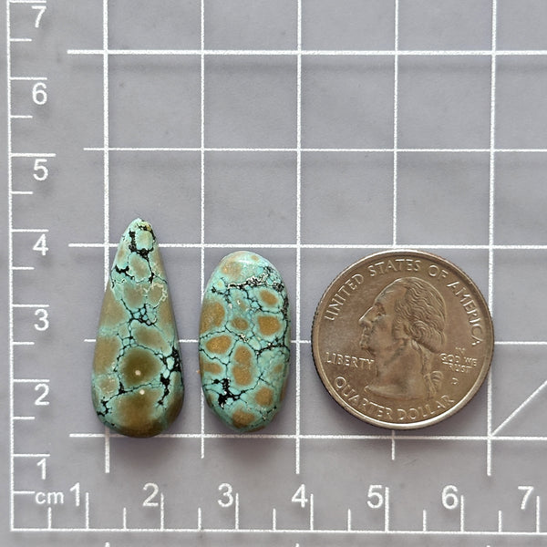 Large Sea Green Mixed Giraffe Turquoise, Set of 2 Dimensions