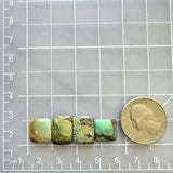 Small Mixed Bar Crescent Lake Variscite, Set of 4 Dimensions