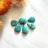 Small Sea Green Mixed Fox Turquoise, Set of 6 Background