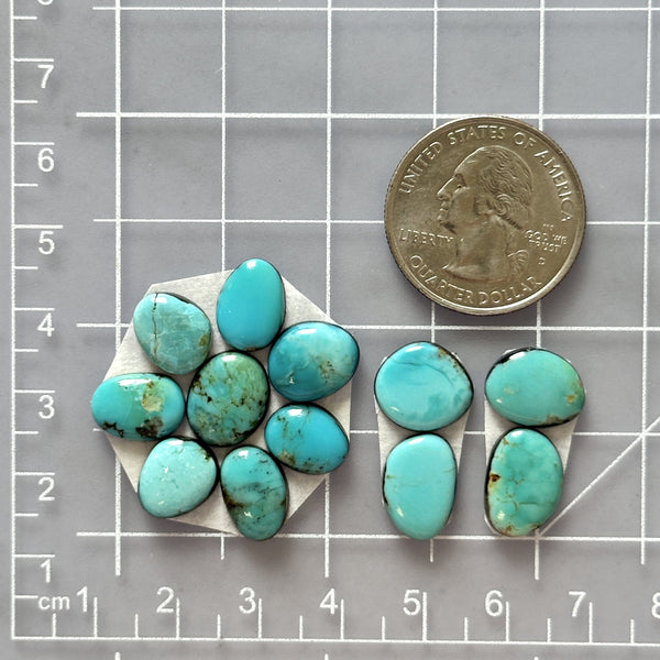 Small Sky Blue Mixed Kingman Turquoise, Set of 12 Dimensions