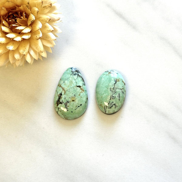 Large Faint Green Mixed Treasure Mountain Turquoise, Set of 2 Background