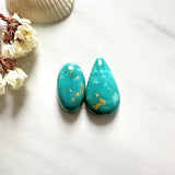 Large Sky Blue Mixed Fox Turquoise, Set of 2 Background