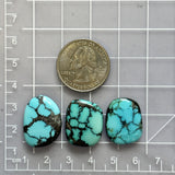 Large Sky Blue Freeform Yungai Turquoise, Set of 3 Dimensions