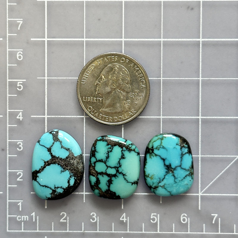 Large Sky Blue Freeform Yungai Turquoise, Set of 3 Dimensions