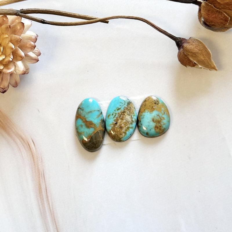 Small Sky Blue Mixed Number 8 Turquoise, Set of 3 Background