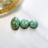 Small Mint Green Freeform Carico Lake Turquoise, Set of 3 Background