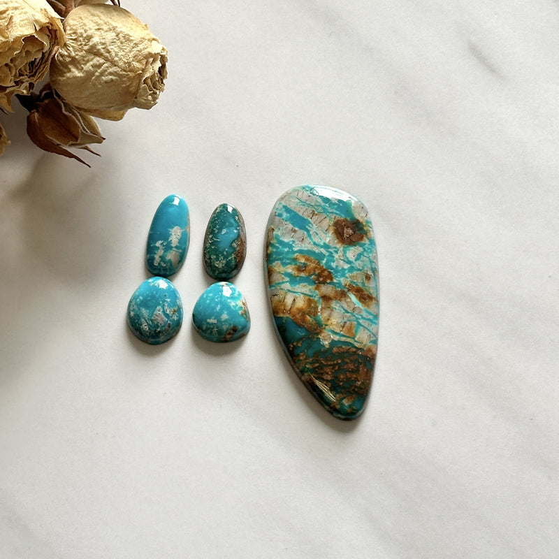 Large Sky Blue Mixed Fox Turquoise, Set of 5 Background